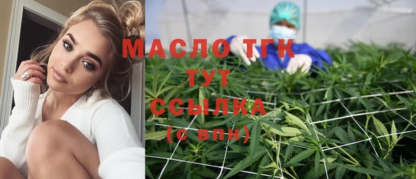 МДПВ Богородск
