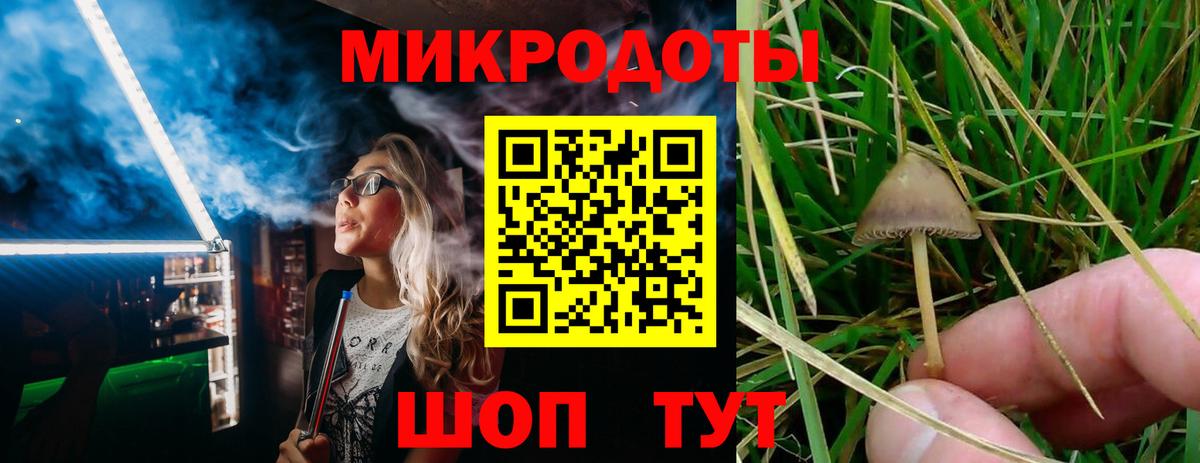 Галлюциногенные грибы MAGIC MUSHROOMS  Галлюциногенные грибы GOLDEN TEACHER  Вход с VPN  Реж 
