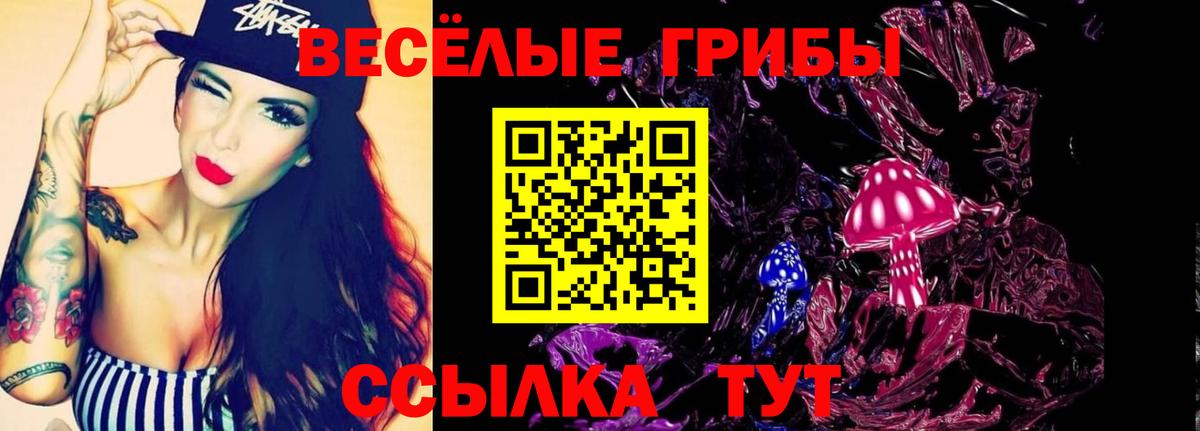 Галлюциногенные грибы Psilocybine cubensis Реж